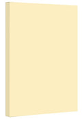 Ivory Pastel Color Card Stock | 67Lb Cover Cardstock | 8.5" x 14" Inches | 50 Sheets Per Pack - color: Ivory