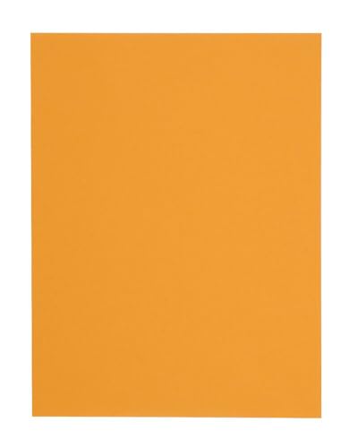Quality Park 10 x 13 Catalog Envelopes with Self Seal Closure, 28 lb Brown Kraft, Great Option for Mailing, Storage and Organizing, 100 per Box (44762) - color: Brown Kraft, size: 10 x 13 inches