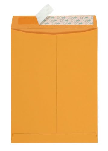 Quality Park 10 x 13 Catalog Envelopes with Self Seal Closure, 28 lb Brown Kraft, Great Option for Mailing, Storage and Organizing, 100 per Box (44762) (Pack of 5) - color: Brown Kraft, size: 10 x 13 inches (Pack of 5)
