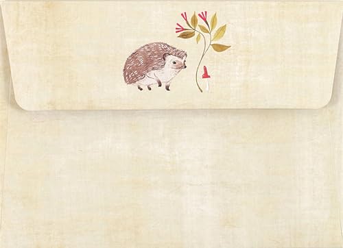 Hedgehog Note Cards (Stationery, Boxed Cards)