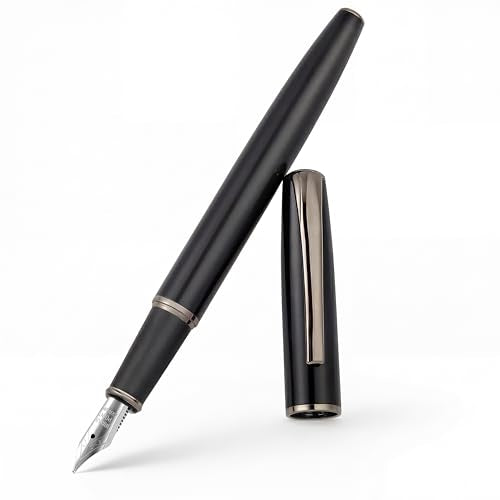 Super Smooth Writing Fountain Pen Set,Includes 2 Hand Polished Iridium Nibs(Fine & Extra Fine),8 Ink Cartridges and Gift Box,Best Pen Gift Set for School,Office(Starlight Black) - color: Starlight Black