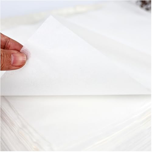 100 Sheets Luminous White Gampi Rice Paper, 13.8x16.5”, Handmade Translucent Cicada Wing Art Paper, Strong & Smooth Thin Fiber for Botanical Tracing, Calligraphy, Decoupage and Wedding Crafts - color: 100 White Cicada Wing Paper, size: 13.8 x 16.5 Inches