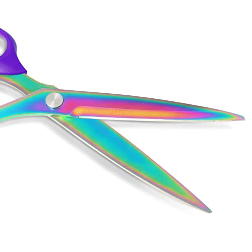 Asdirne Fabric Scissors, Heavy Duty Titanium Plated Stainless Steel, Tailor Scissors for Cutting Fabrics and Leather, Purple, Set of 2 (26cm/21cm) - color: Set of 2