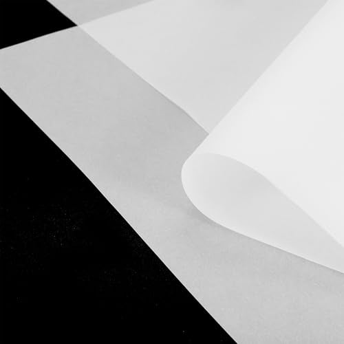 MECCANIXITY Colored Vellum Paper, 50 Sheet Transparency 8.5 x 11 Printable Vellum Paper, Translucent Vellum Sheets for Printing Wedding Invitations Ink Jet Laser Printer - color: Transparent