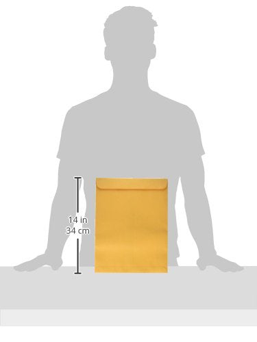 Quality Park 10 x 13 Catalog Envelopes with Self Seal Closure, 28 lb Brown Kraft, Great Option for Mailing, Storage and Organizing, 100 per Box (44762) - color: Brown Kraft, size: 10 x 13 inches