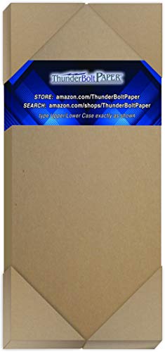 100 Sheets Chipboard 24pt (Point) 4 X 9 Inches Light Weight Size Fits #10 Envelope .024 Caliper Thickness Cardboard Craft|Packing Brown Kraft Paper Board - size: 4x9 - 100 Sheets