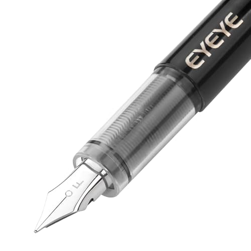 EYEYE Disposable Fountain Pens Fine Nib, 5 Black 5 Blue Fountain Pens for Writing, Stainless Steel Nib, Smooth Writing for Calligraphy, Journaling, Drafting, Office & School Supplies - color: Black+Blue