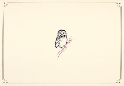 Owl Portrait Note Cards (Stationery, Boxed Cards)