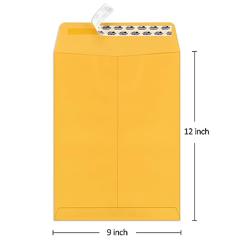 ValBox 9x12 Self Seal Security Catalog Envelopes 250 Packs Brown Kraft Envelopes with Peel and Seal Flap for Mailing, Organizing and Storage - color: Brown, size: 9x12 Inches
