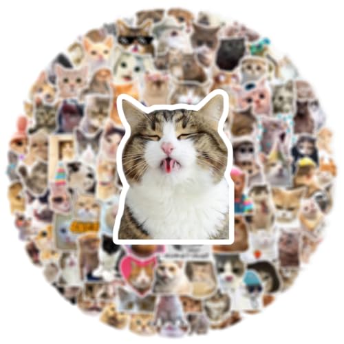 100 PCS Kittens Stickers Cat Cute Animal Aesthetics Sticker Kawaii Waterproof Vinyl Decal for Journaling Laptop Scrapbook Water Bottles Phone Caps Luggage for Adults Teens Kids Womens