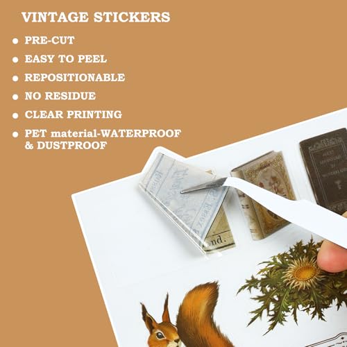 Vintage Scrapbook Stickers, 20 Sheet Vintage Flower Sticker for Scrapbooking, journaling DIY Crafts Laptops，Card Making, Ephemera Pre Cut (Orange Autumn Scenery) - style: Orange Autumn Scenery