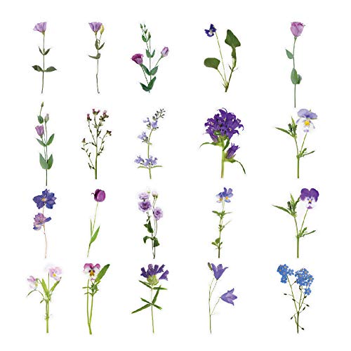 40Pcs Flower Stickers for Water Bottle - Self-Adhesive Transparent Waterproof Vinyl Sticker Decal for Adults Card Decoration DIY Scrapbook Laptop Phone Case Nature Floral Plant Violet Stickers - color: Transparent Clear Colorful Ins Style Diy Natural Flow