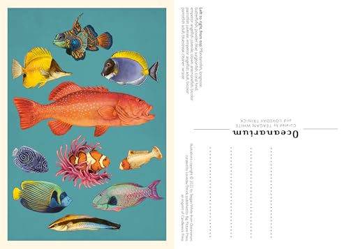 Oceanarium Postcard Box Set (Welcome to the Museum)