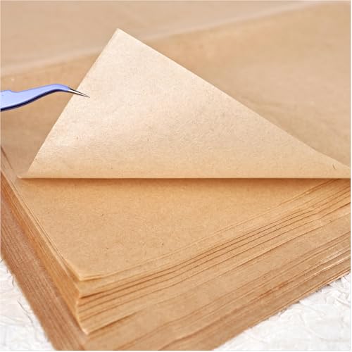 100 Sheets Natural Gampi Bark Rice Paper, 9.4 x 15.7”, Ultra-Thin, Strong & Translucent Cicada Wing Traditional Handmade Xuan Paper for Fine Art Painting, Botanical Rubbing and Calligraphy - color: 100 Vintage Cicada Wing Paper, size: 9.4 x 15.7 inches