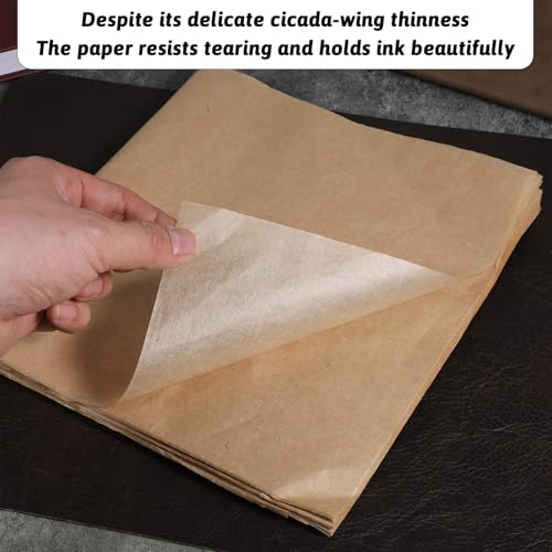 100 Sheets Cicada Wing Paper Handmade Bamboo Pulp Xuan Papers Natural Fiber Rice Paper for Decoupage Ultra-Thin Translucent Art for Calligraphy Painting & Crafts (Antique, 16x9.5in)