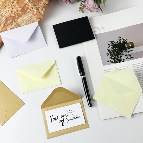 100 pack Gift Card Envelopes - color: White