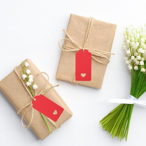 G2PLUS Red Gift Tags with String, 100PCS Hollow Heart Tag, 3.7x1.8in - style: Hollow Heart Red