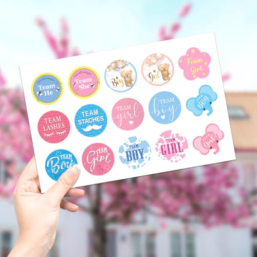 Team Boy Girl Baby Shower Stickers Pack for Gender Reveal Party Cute Pastel Vinyl Decorations with Lashes Staches Bear Bee Designs 90Pcs Bike Water Bottles Wall Decoration - color: Gender Reveal A30
