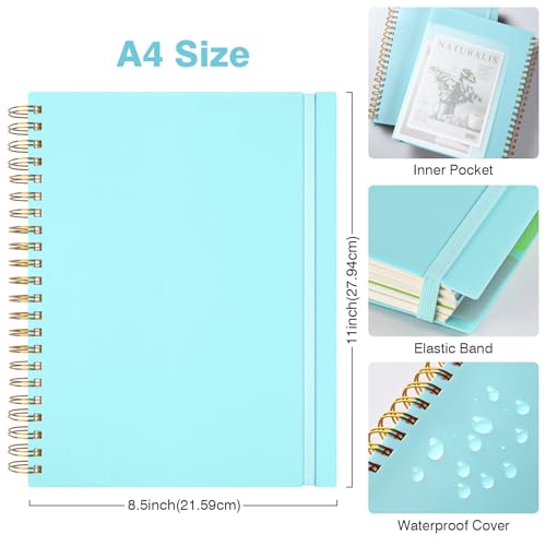 Graph Paper Notebook 8.5" X 11": 5 Subject Graphing Notebook with Dividers - color: Blue