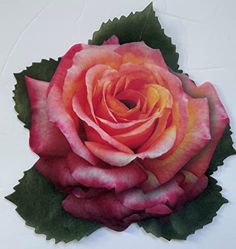 Parchment Paper Leaves for Cheese & Charcuterie Boards - Sisson Roses, Pack of 20. Made in USA with French Parchment Paper. Rinse clean, dry, reuse. - color: Rose