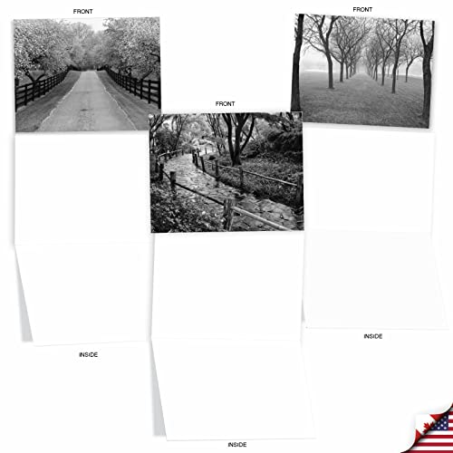 The Best Card Company - Box of 10 All Occasion Cards Blank (4 x 5.12 Inch) - Scenic Landscape Cards Assorted - Tree Lines M3313-NB - style: Tree Lines