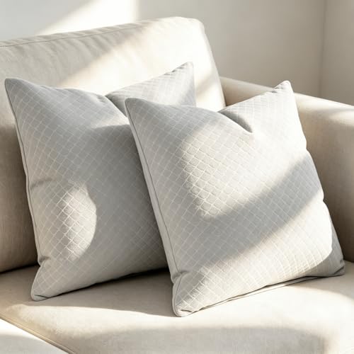 2-Pack 18x18 Inch Modern Square Decorative Throw Pillow Covers, Reversible Luxurious Velvet, Boho Farmhouse Cushion Covers for Couch, Bed, Living Room, Bedroom, Outdoor Home Decor (Gray) - color: Gray