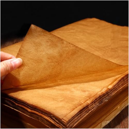 Diuhofart 100 Sheets Gampi Rice Paper, 13.8x16.5”, Handmade Antique Translucent Art Paper, Thin Yet Strong Fiber for Chinese Calligraphy, Painting, Decoupage, Collage and Junk Journaling - color: 100 Ancient Cicada Wing Paper, size: 13.8 x 16.5 Inches