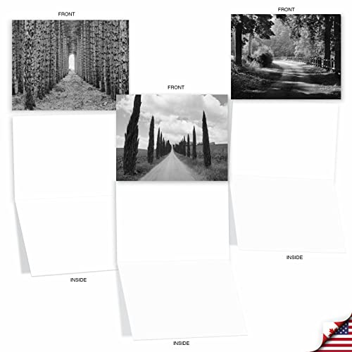 The Best Card Company - Box of 10 All Occasion Cards Blank (4 x 5.12 Inch) - Scenic Landscape Cards Assorted - Tree Lines M3313-NB - style: Tree Lines