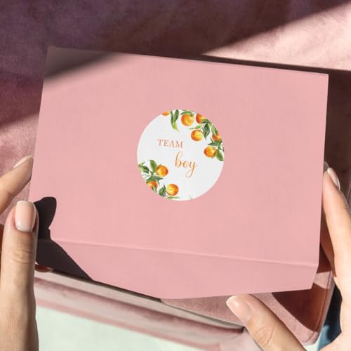 Pack 90 Pcs Cute Orange Baby Shower Team Boy Team Girl Stickers for Party Favors Gender Reveal Thank You Labels Funny Aesthetic Sticker Round Waterproof Removable Vinyl Decals - color: Gender Reveal A27