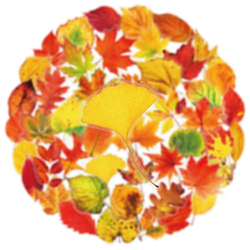 50pcs Transparent maple leaves Sticker for Scrapbooking Water Bottles Laptop Journaling,Cartoon fallen leaves Decal for Teens Planners,Cards, Gifts,Crafts,Art Projects,Glass Potion Bottles(maple leaf) - color: Maple Leaf