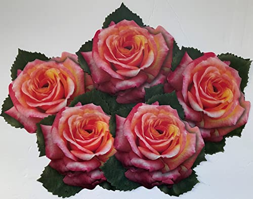 Parchment Paper Leaves for Cheese & Charcuterie Boards - Sisson Roses, Pack of 20. Made in USA with French Parchment Paper. Rinse clean, dry, reuse. - color: Rose