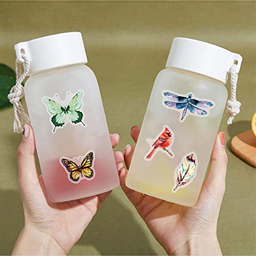 40Pcs Birds Stickers for Water Bottle - Self-Adhesive Waterproof Colorful Transparent PET Sticker Decal for Adults Card Decoration DIY Scrapbook Laptop Phone Case Realistic Nature Animal Gift Stickers - color: Transparent Clear Colorful Ins Style Diy Natu