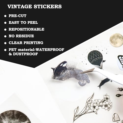 Vintage Scrapbook Celestial Stickers, 20 Sheet Galaxy and Cosmic Sticker for Scrapbooking, journaling DIY Crafts Laptops, Card Making, Ephemera Pre Cut (Galaxy Starfield) - style: Galaxy Starfield