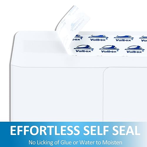 ValBox 6x9 Self Seal Security Catalog Envelopes 250 Count Small White Envelopes for Mailing, Storage and Organizing (Pack of 2) - color: White, size: 6x9 Inches (Pack of 2)