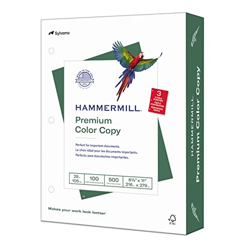 Hammermill Printer Paper, Premium Color 28 lb Copy Paper, 3 Hole - 100 Bright, Made in the USA, 102500R - 1 Ream (500 Sheets) - size: 1 Ream | 500 Sheets, style: 3 Hole (8.5x11)