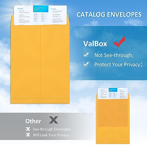 ValBox 9x12 Self Seal Security Catalog Envelopes 250 Packs Brown Kraft Envelopes with Peel and Seal Flap for Mailing, Organizing and Storage - color: Brown, size: 9x12 Inches