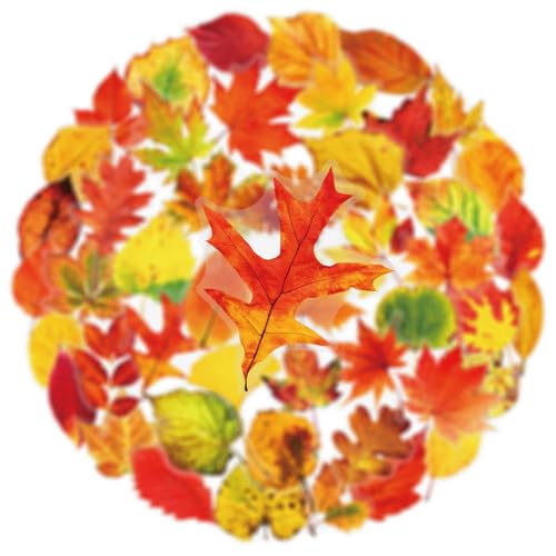50pcs Transparent maple leaves Sticker for Scrapbooking Water Bottles Laptop Journaling,Cartoon fallen leaves Decal for Teens Planners,Cards, Gifts,Crafts,Art Projects,Glass Potion Bottles(maple leaf) - color: Maple Leaf