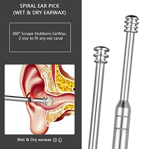 8 Pcs Ear Wax Removal Kit,Professional Double-Headed Ear Pick Earwax Removal Tools,316L Stainless Steel Ear Cleaner Curette with Cleaning Brush and Storage Box,Suit for Kid Adult(Silver) - color: Silver, size: Plastic Case
