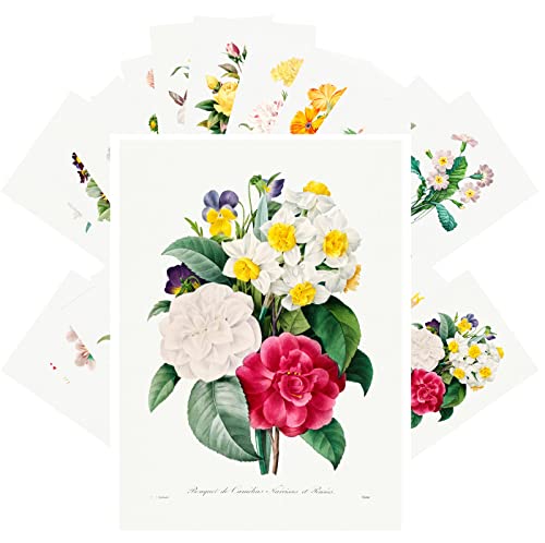 PIXILUV Vintage Postcards (24 pcs 4"x6" each) Flowers Bouquets Wildflowers Vintage Botannical Books Illustrations by Redoute Retro Notecards Greeting Card Reprint - color: Five