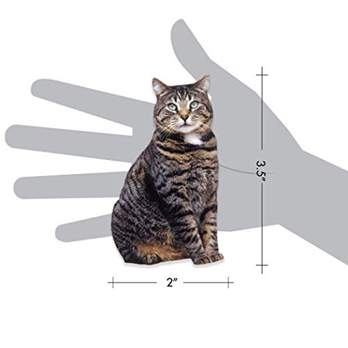Paper House Productions 3.5" x 2" Die-Cut Brown Tabby Cat Shaped Magnet for Refrigerators and Lockers - color: Brown Tabby Cat