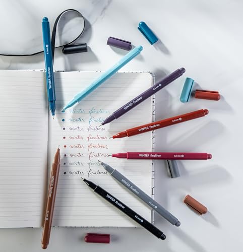 DIVERSEBEE Fine Tip Pens, 0.5mm Fine Point, Assorted Colors (Winter) - color: Winter