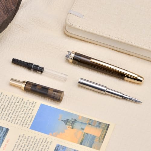 Jinhao 20 Press Fountain Pen, Transparent Black Retractable Medium Nib with Ink Converter Set (Golden Clip) - color: Transparent Black (Golden Clip), style: Medium