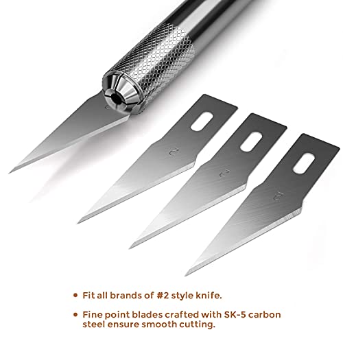 Nicpro 120 PCS Hobby Blades Set SK-5, Utility Refill #2 Art Blades Refill Cutting Tool with Storage Case for Medium to Heavy Craft, Hobby, Scrapbooking, Stencil (Pack of 2) - size: #2 (Pack of 2)