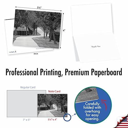 The Best Card Company - Box of 10 All Occasion Cards Blank (4 x 5.12 Inch) - Scenic Landscape Cards Assorted - Tree Lines M3313-NB - style: Tree Lines