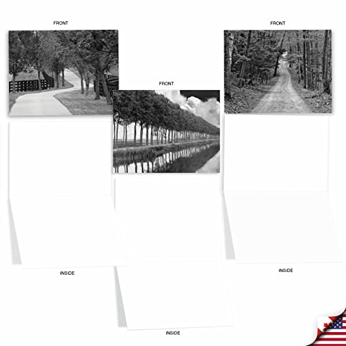 The Best Card Company - Box of 10 All Occasion Cards Blank (4 x 5.12 Inch) - Scenic Landscape Cards Assorted - Tree Lines M3313-NB - style: Tree Lines