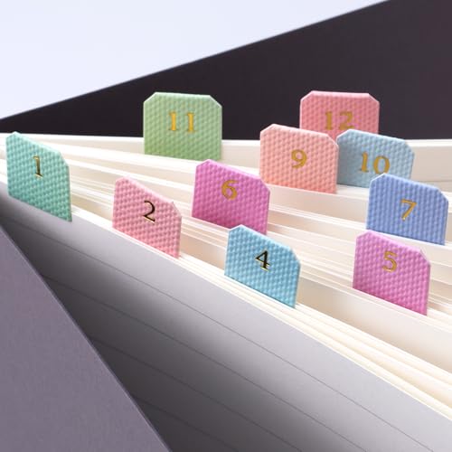 Joez Wonderful 10 Sheets Planner Monthly Tabs, Self Adhesive Tabs Stickers, Planners Index Tabs Calendar Tabs for Planners, Office, Study, Notebook (180 Pcs, Colorful) - color: 10 Sheets, Style 5