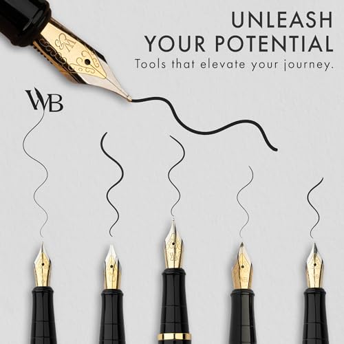 Wordsworth & Black Luxury Fountain Pen Set for Writing, 6 Nibs, Silver Gold - color: Silver Gold