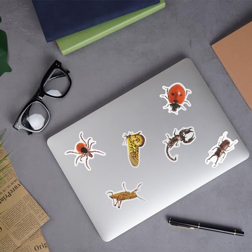 100 PCS Insect Stickers Cartoon Bug Stickers for Laptop Water Bottle Computer Refrigerator Luggage Phone Case Bicycle Teens (Insect) - style: Insect