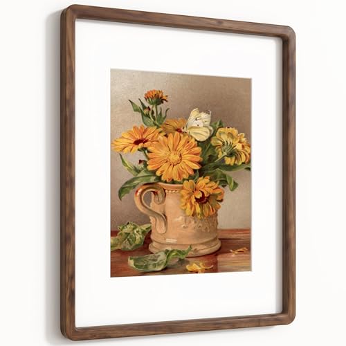 16x20 Picture Frame, USA-Sourced Natural Solid Walnut Wood Photo Frame with HD-Tempered Glass, Handcrafted Rounded Corner 16 by 20 Wooden Frame Matted to 11x14 Photos, Horizontal or Vertical Wall Mounting - color: American Black Walnut, size: 16x20