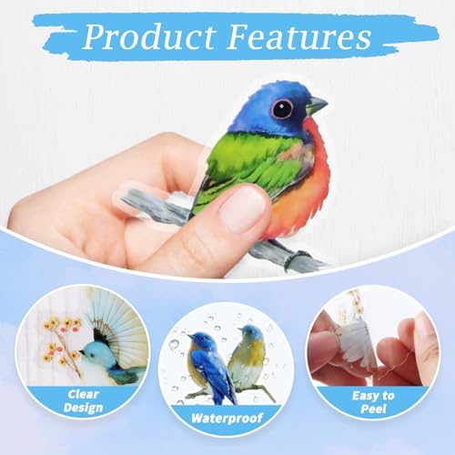 Imeepa 40Pcs Bird Stickers Transparent Scrapbooking Stickers (Pack of 3) - size: Birds (Pack of 3)